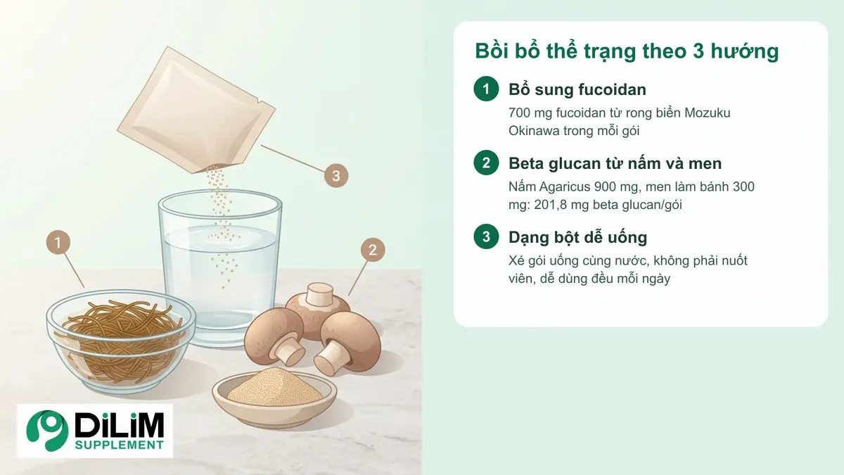 Sơ đồ giải pháp và nhóm thành phần chính của Bột uống NANO FUCOIDAN KENGEN Nhật Bản
