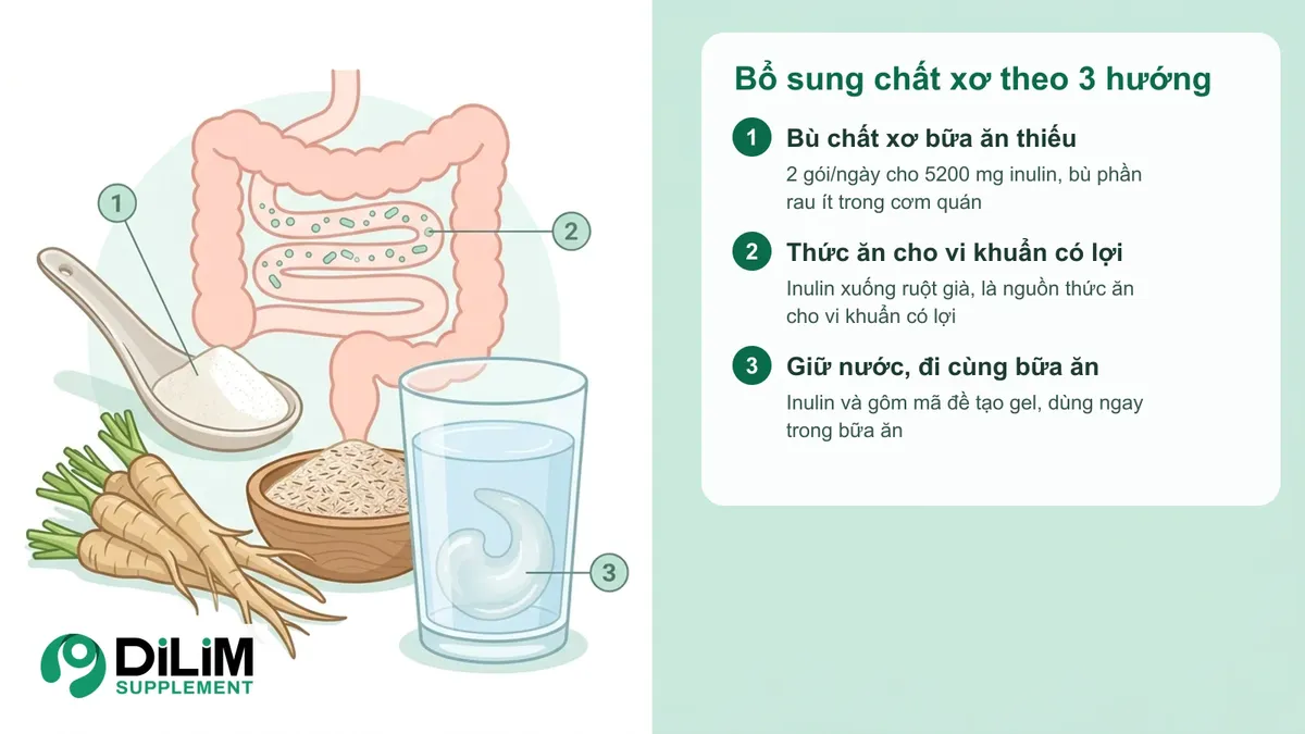 Sơ đồ giải pháp và nhóm thành phần chính của Chất xơ inulin Intestines Beauty Queen Nhật Bản (Fuji FF)
