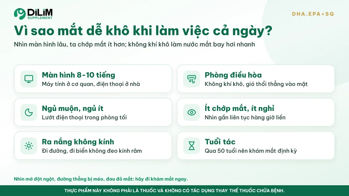 Vì sao DHA.EPA+SQ được quan tâm: bối cảnh và thói quen thường gặp