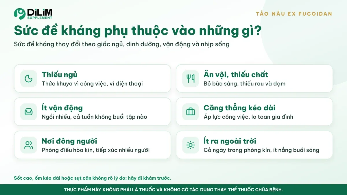 Vì sao EX Fucoidan được quan tâm: bối cảnh và thói quen thường gặp