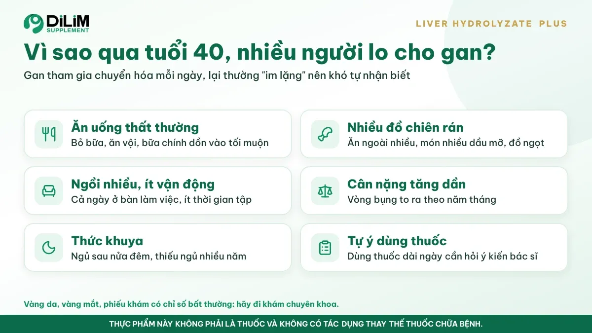 Vì sao Liver Hydrolyzate Plus được quan tâm: bối cảnh và thói quen thường gặp