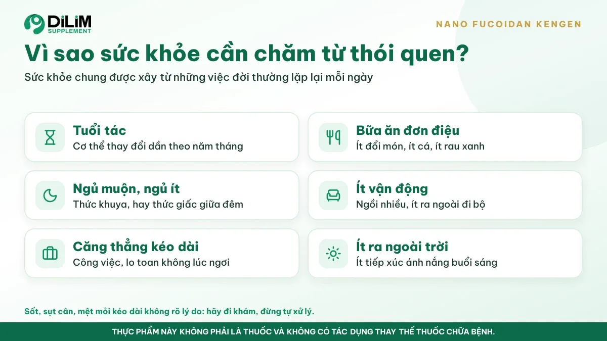Vì sao Bột uống NANO FUCOIDAN KENGEN Nhật Bản được quan tâm: bối cảnh và thói quen thường gặp