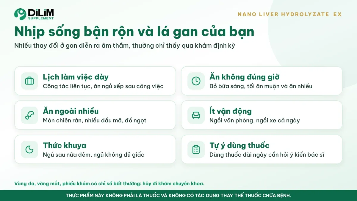 Vì sao Nano Liver Hydrolyzate EX được quan tâm: bối cảnh và thói quen thường gặp
