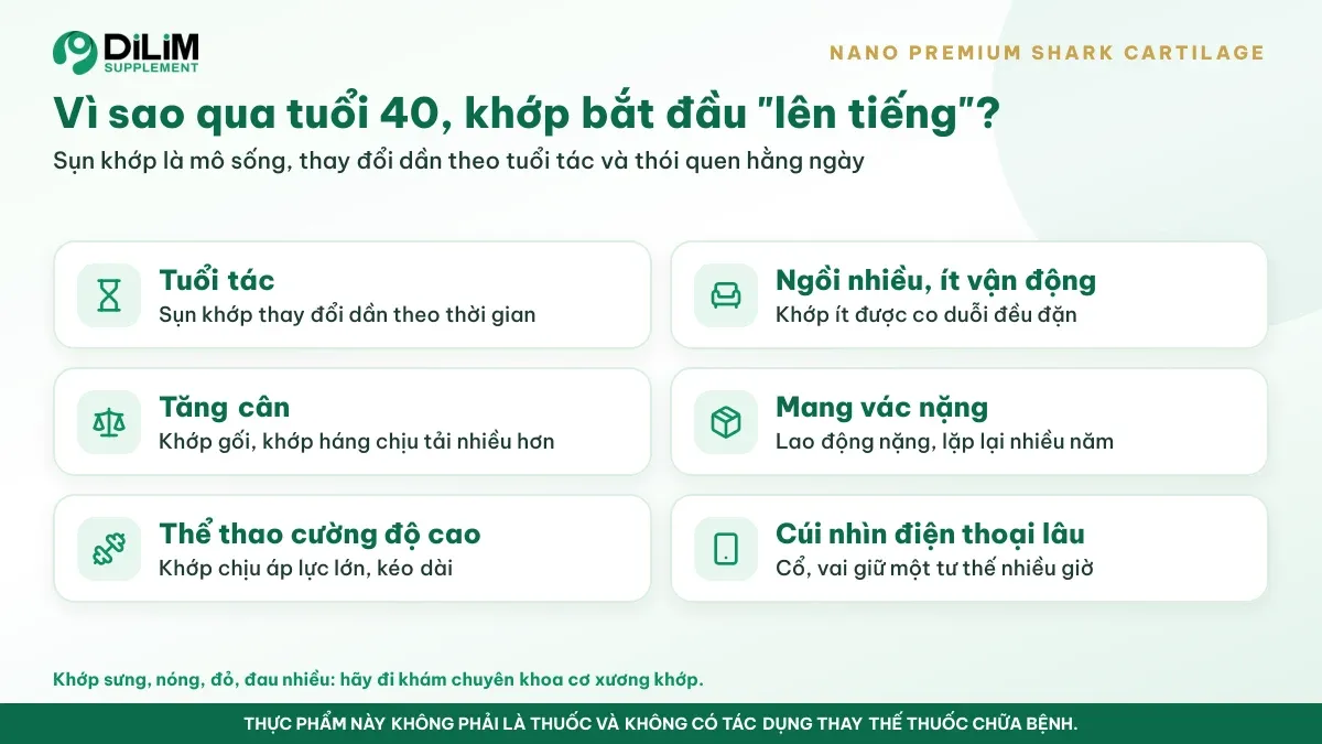 Vì sao NANO Premium SHARK CARTILAGE được quan tâm: bối cảnh và thói quen thường gặp