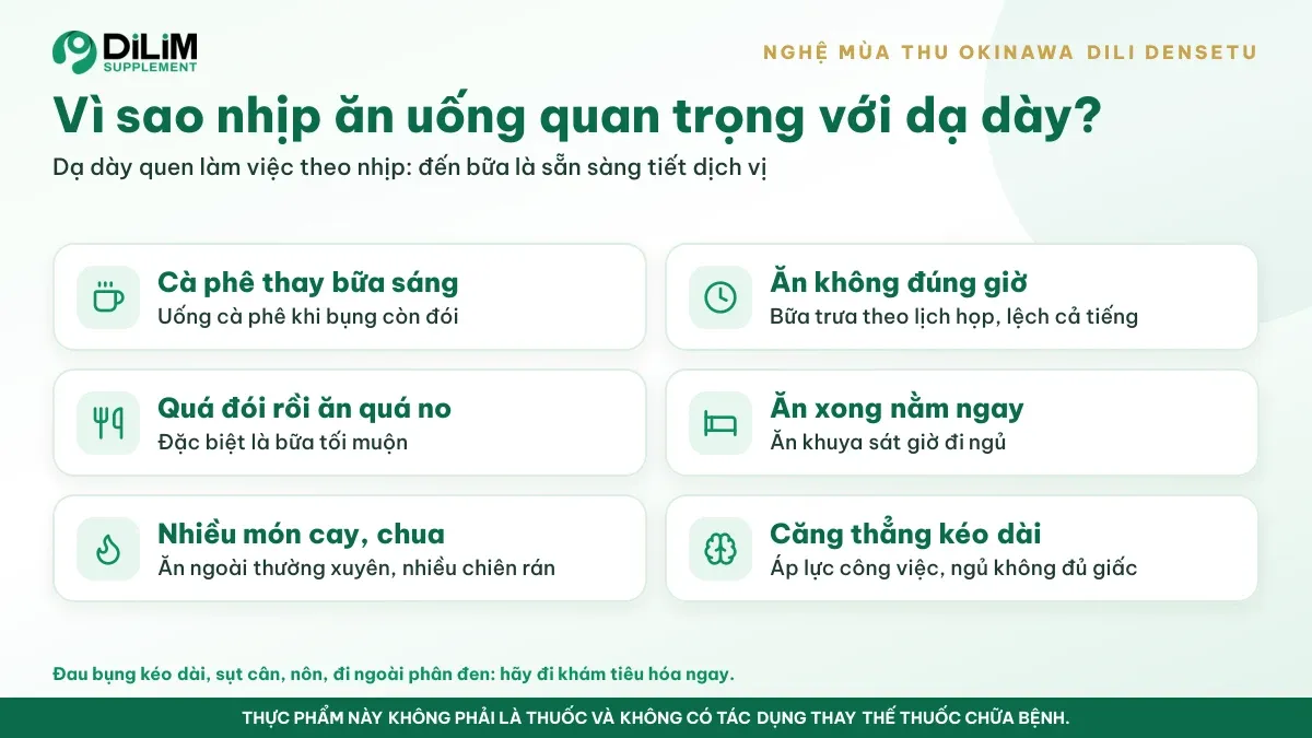 Vì sao Nghệ mùa Thu Okinawa DILI Densetu (DILI Okinawa Osake Wo Kaiteki No Densetu) được quan tâm: bối cảnh và thói quen thườ