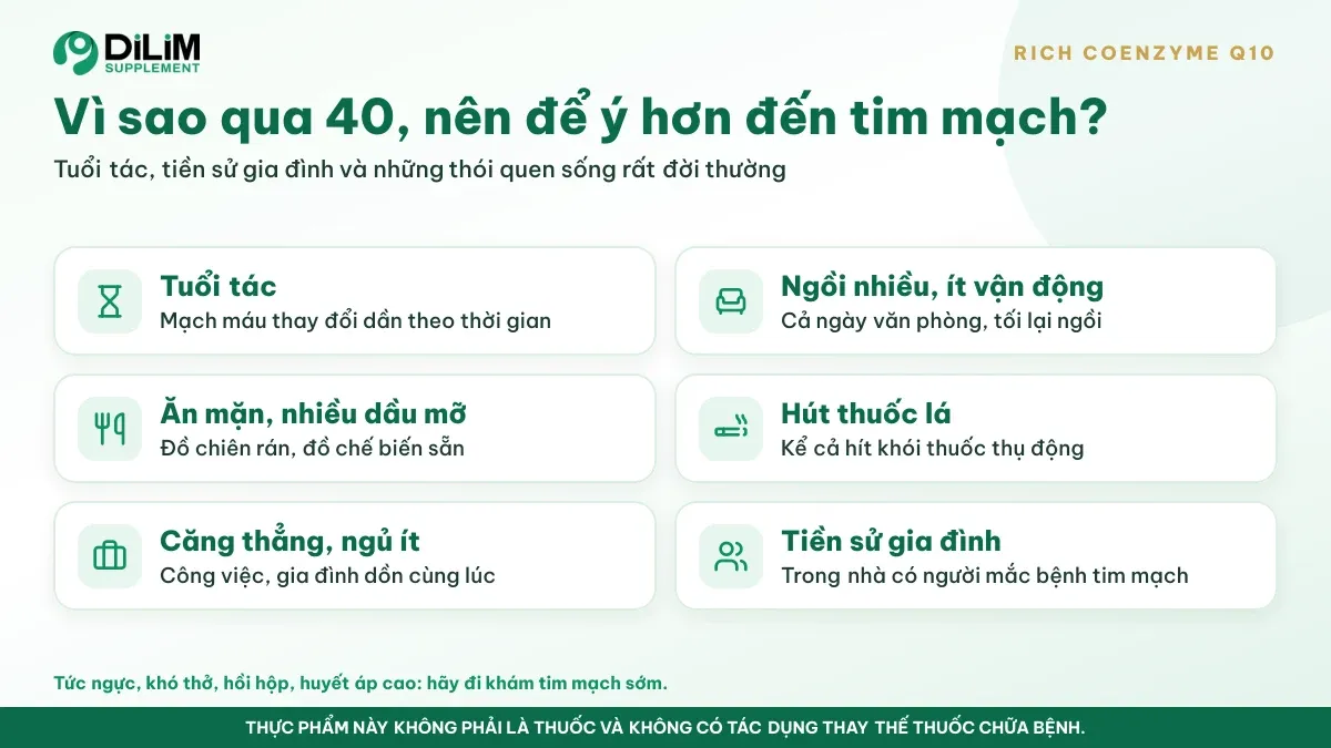 Vì sao RICH COENZYME Q10 được quan tâm: bối cảnh và thói quen thường gặp
